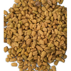 Herb Fenugreek Seeds 50g